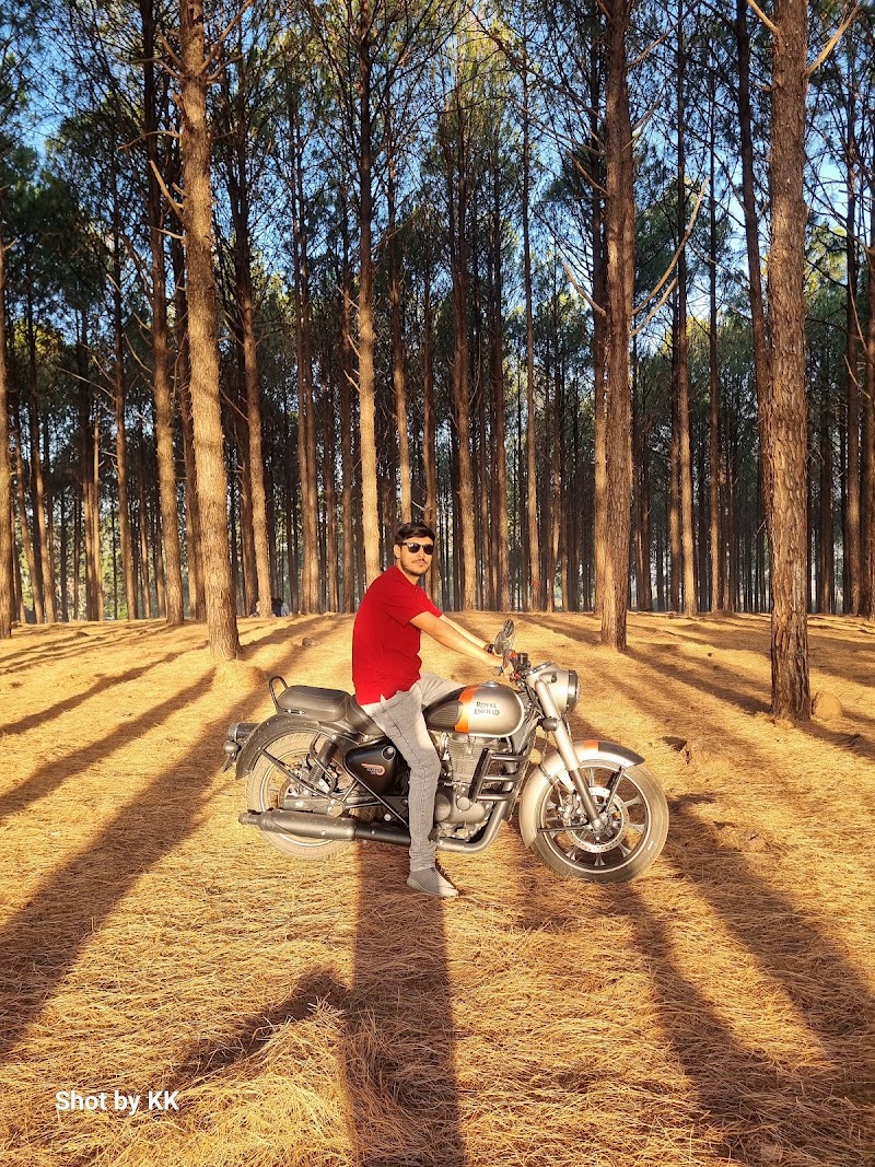 Pine Forest Koel View Point - Pine Forest Koel View Point F7PG+9X5 Koel View Point, Netarhat, Jharkhand 835218, India