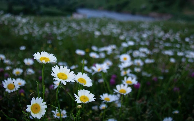 Namin - Namin, Ardabil Province, Iran