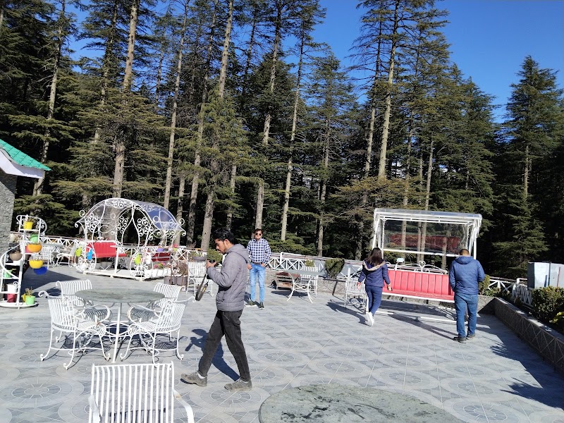 Forest View Retreat - Forest View Retreat Dhungri Village, Manali, Himachal Pradesh 175131, India
