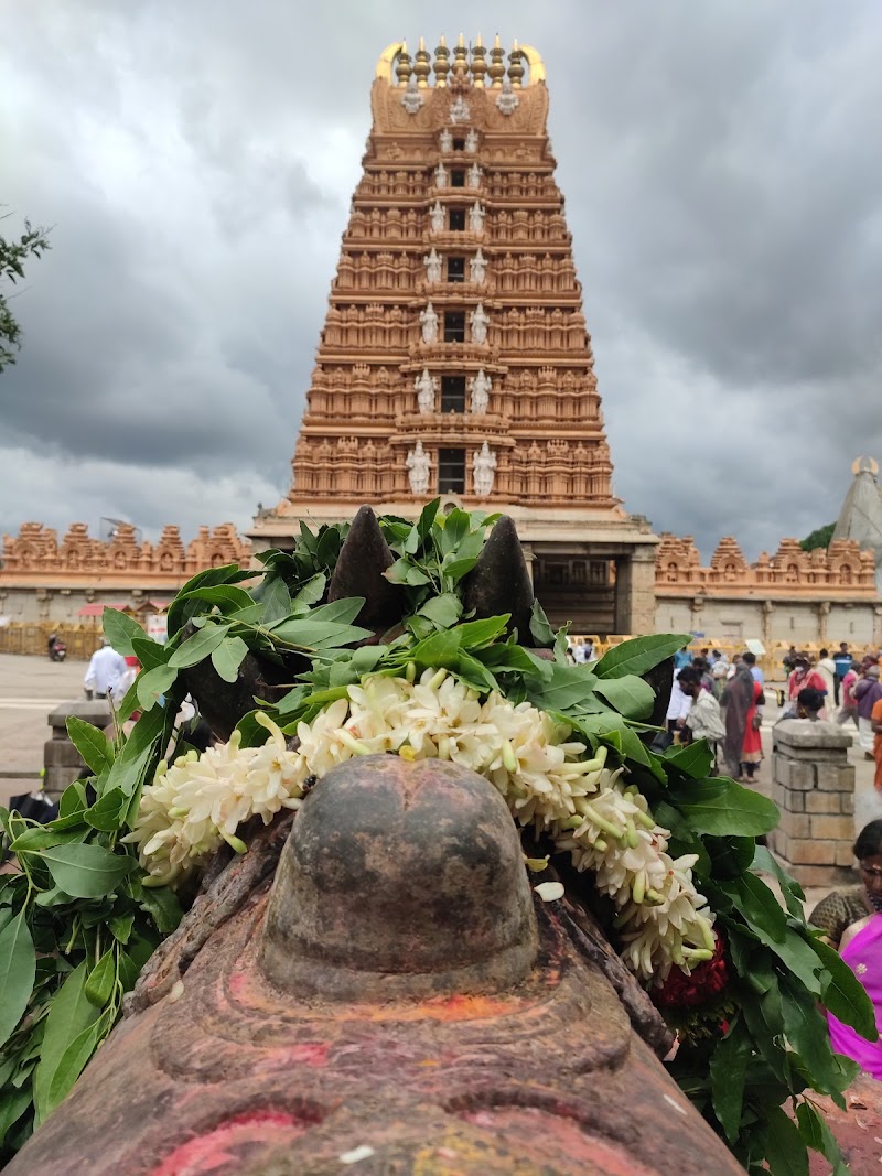 Nanjanagudu - Nanjanagudu, Karnataka, India