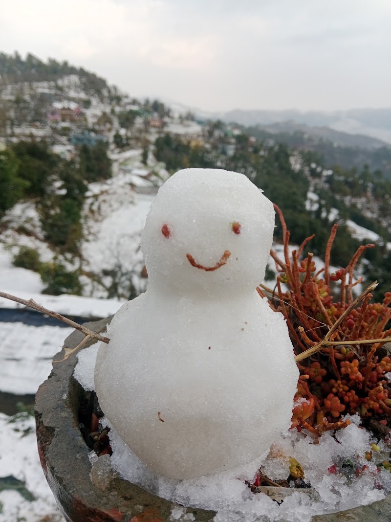 The Himalayan vibe home stay & cafe - The Himalayan vibe home stay & cafe, Hatikhan Lamgara, Jalna, Talla Lamkot, Uttarakhand 263625, India