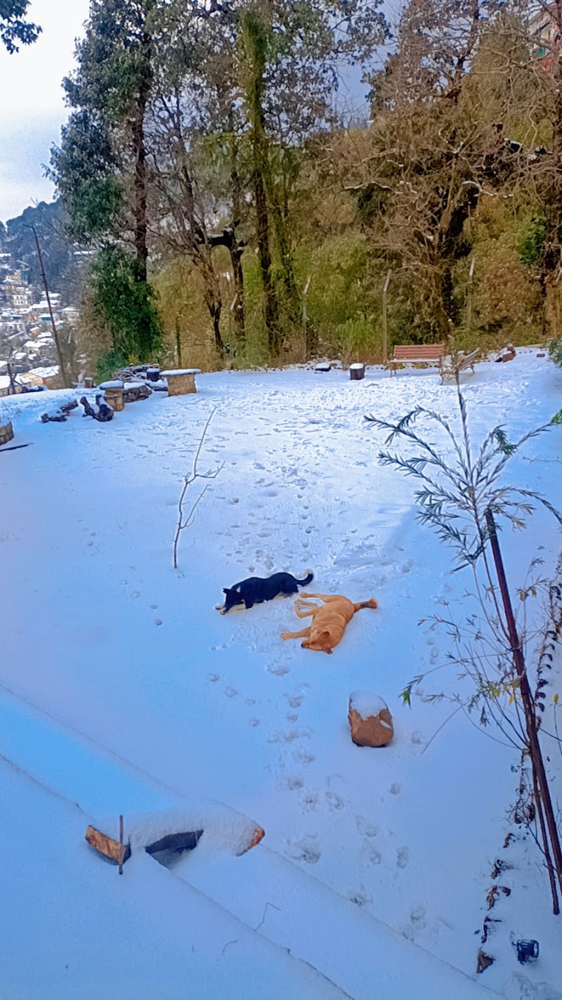 Leela Heritage Villa - Leela Heritage Villa Dal Road Tanglewood, McLeodganj Rd, McLeod Ganj, Dharamshala, Jangal Reserve Banoi, Himachal Pradesh 176216, India