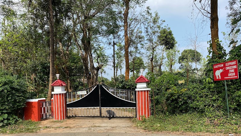 LAZY DAYS WAYANAD - LAZY DAYS WAYANAD LAZY DAYS WAYANAD, Purakulam Estate, Post, Cherambadi, Tamil Nadu 643205, India