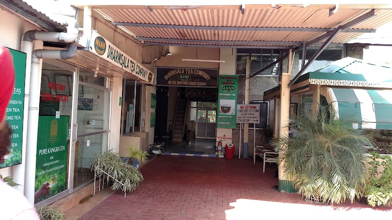 Tea Garden - Tea Garden, 6856+Q3W, Narghota Road, Dharamshala, Himachal Pradesh 176217, India