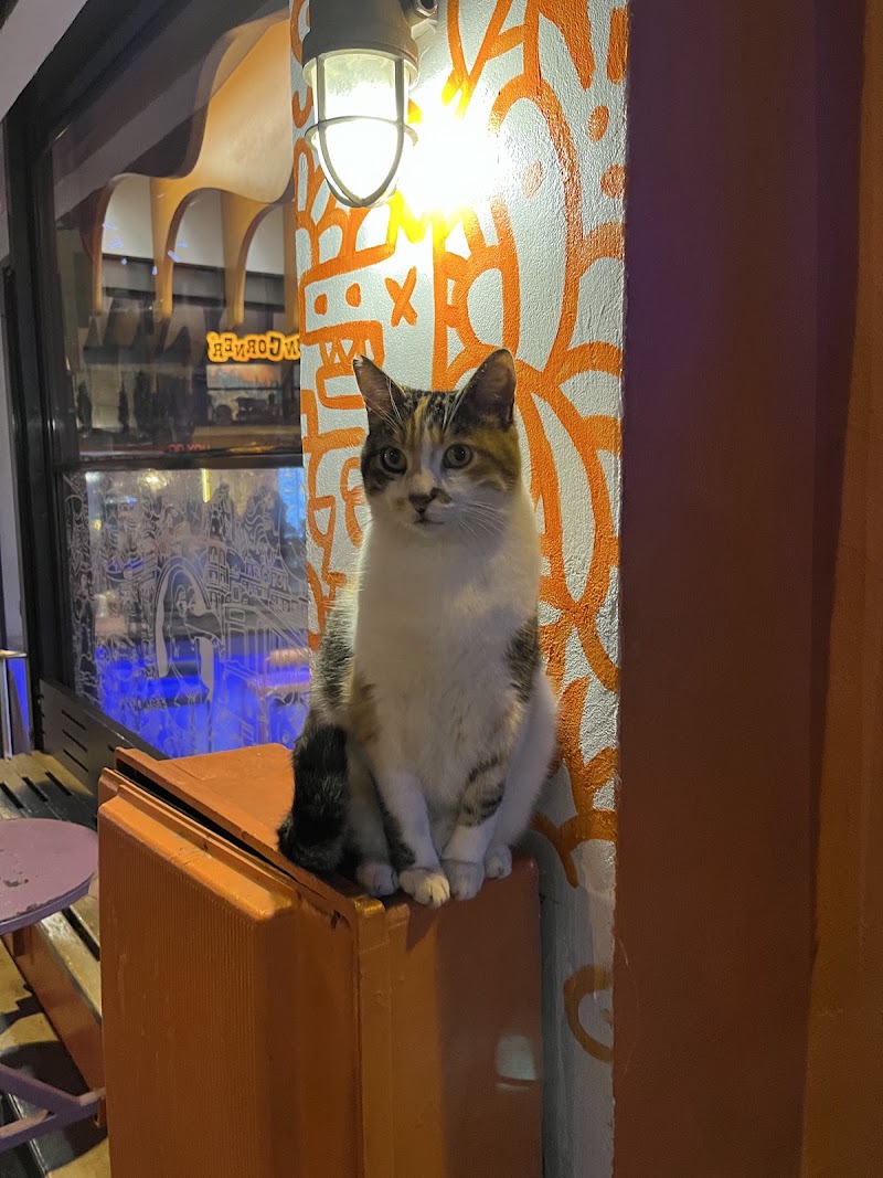 KADIKÖY - MODA - KADIKÖY - MODA, Caferağa, Moda Cd. No:90, 34710 Kadıköy/İstanbul, Türkiye