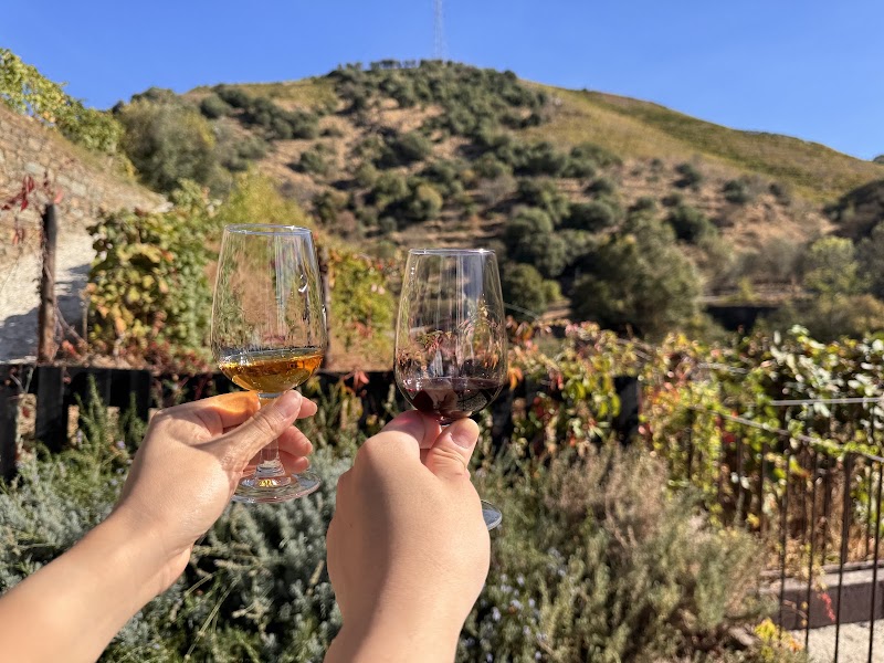 Douro Valley Wine Tours - Douro Valley Wine Tours, R. das Mimosas 4510, 4510-607 São Pedro da Cova, Portugal