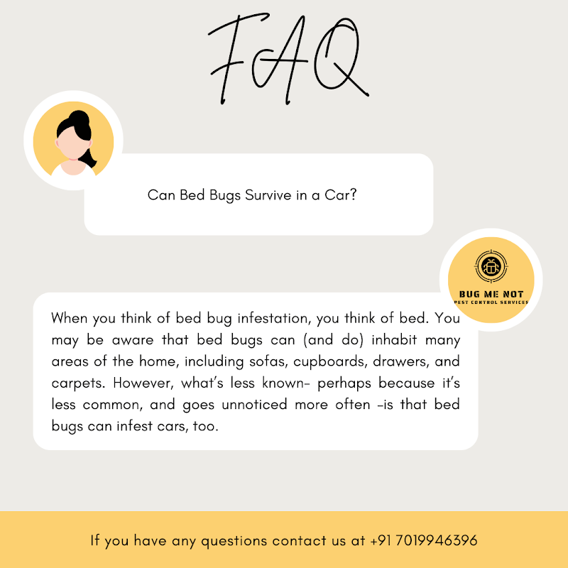 BUG ME NOT PEST CONTROL SERVICES - BUG ME NOT PEST CONTROL SERVICES, No. 59, 9th A Cross Rd, Kumarapark West, Kumara Park West, Seshadripuram, Bengaluru, Karnataka 560020, India