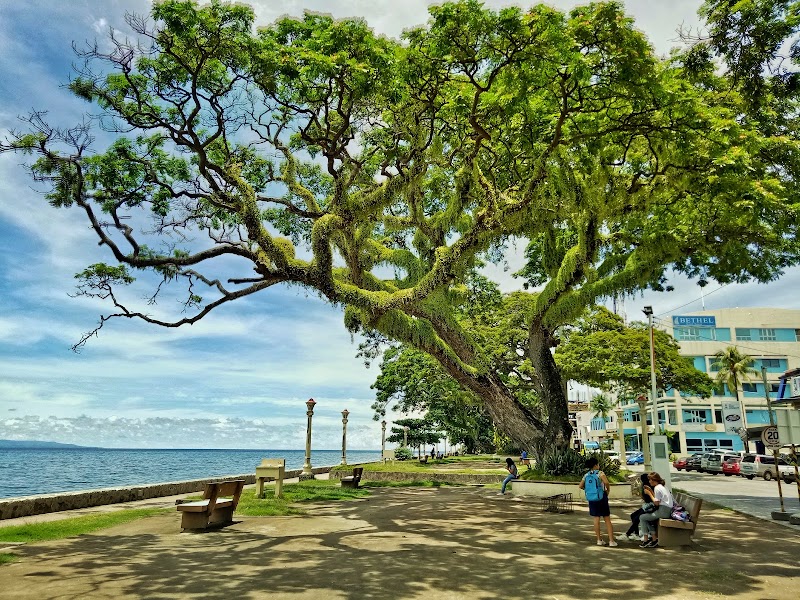 Rizal Boulevard - Rizal Boulevard, Dumaguete City, Negros Oriental, Philippines