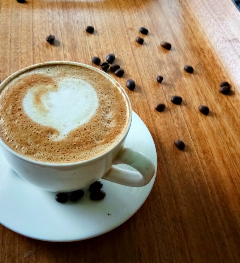 The Nest Café - The Nest Café Anand Bazar Rd, Bima Nagar, Old Palasia, Indore, Madhya Pradesh 452018, India