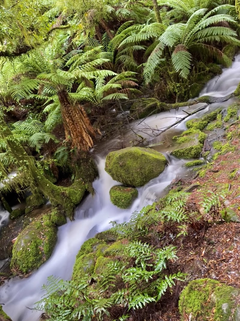 Yarra Ranges National Park - Yarra Ranges National Park, Lockwood Rd, Reefton VIC 3799, Australia