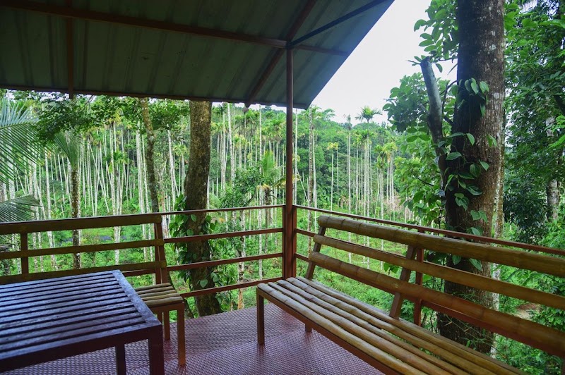 Wayanad Coffee Vintage - Wayanad Coffee Vintage P4W9+GV, Nadavayal, Kerala 670721, India