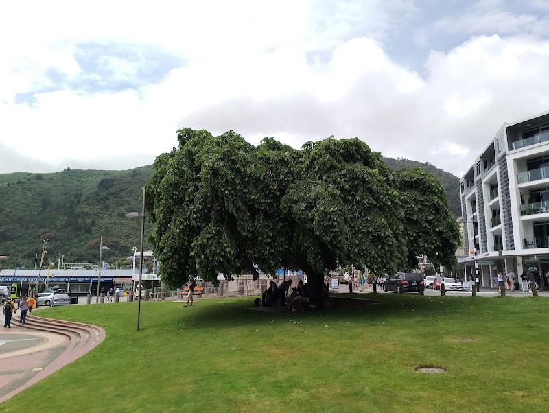 Picton - Picton Picton, New Zealand
