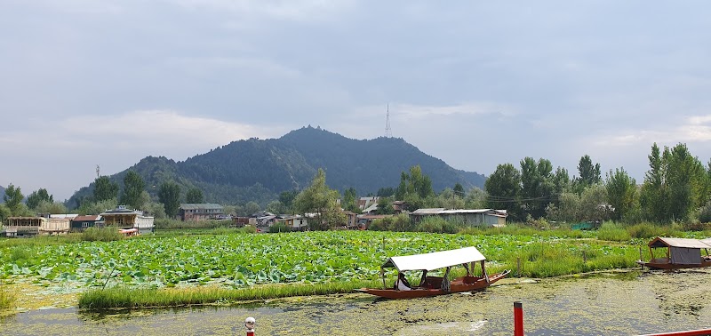 Luxury Houseboats in Kashmir - Luxury Houseboats in Kashmir Gate No, 17, Boulevard Rd, Nehru Park, Dal Lake, Srinagar, 190003