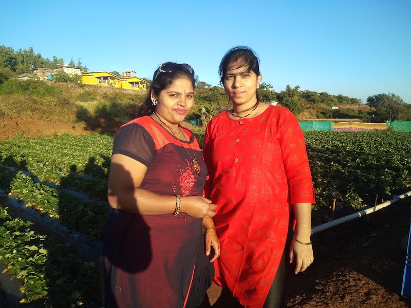Forest Valley - Forest Valley, At: Bondarwadi, (Avakali), Tal: Mahabaleshwar, Dist: Satara., WP97+Q6C, Mahabaleshwar, Dhangarwadi, Maharashtra 412806, India