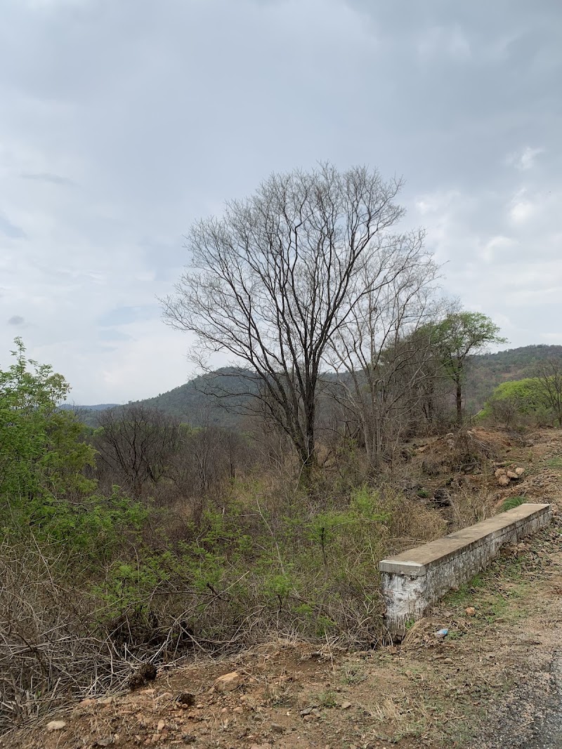 Muthathi - Muthathi, 8857+8M6, Basavana Betta Forest, Karnataka 571421, India