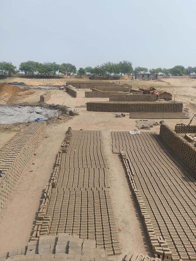 Ap bricks industry - Ap bricks industry, padkidih, Andhiyarkhor, Chhattisgarh 491337, India