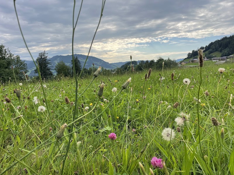 Camping Feurstein - Camping Feurstein Haidach 185, 6951 Lingenau, Austria
