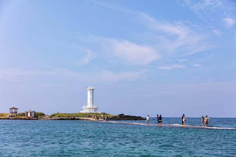 Sinchang Windmill Coastal Road - Sinchang Windmill Coastal Road, 1323 Sinchang-ri, Hangyeong-myeon, Cheju, Jeju-do, South Korea