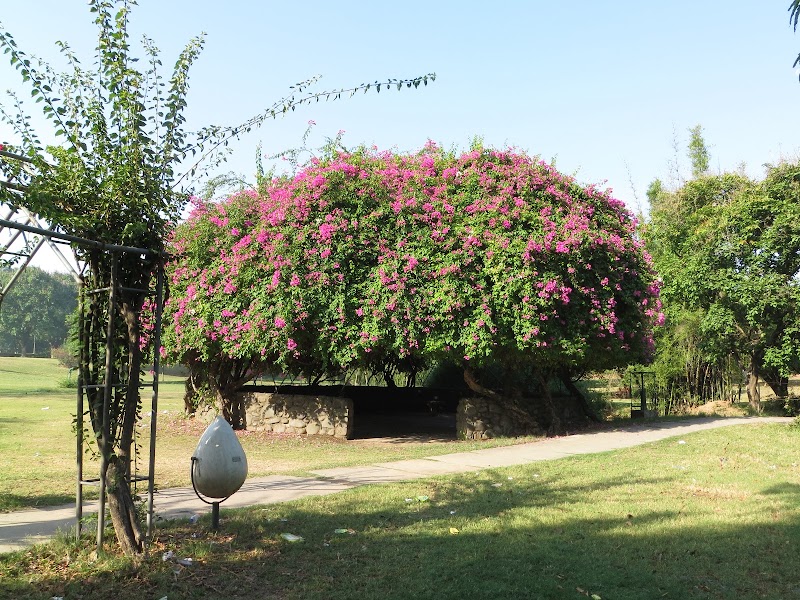 Bougainvillea Park, 3B Chandigarh - Bougainvillea Park, 3B Chandigarh QQ5W+894, 3B, Sector 3, Chandigarh, 160001, India