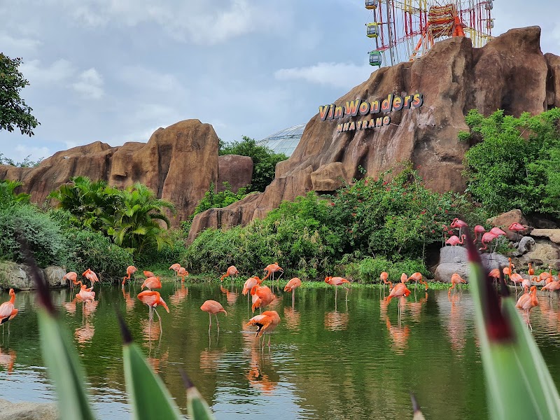 Vinpearl Land - Vinpearl Land, Vĩnh Nguyên, Tp. Nha Trang, Khánh Hòa, Vietnam