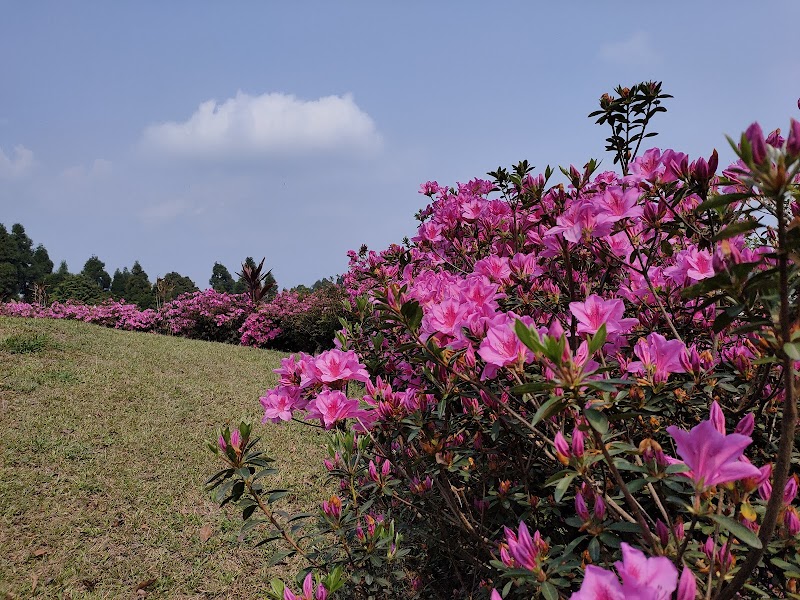 Delo Park - Delo Park, 3GQ3+M83, Deolo, Homes St.And Graihms, Kalimpong, West Bengal 734316, India