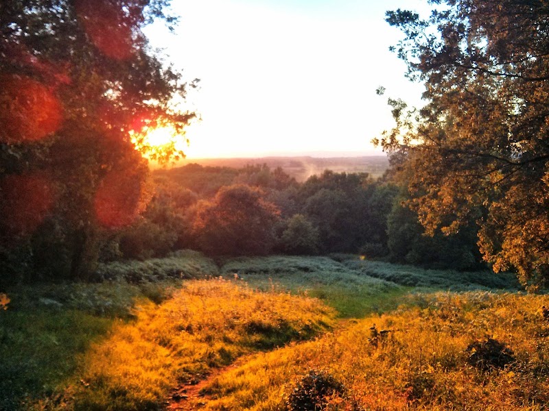 Cadbury Hill - Cadbury Hill, Congresbury, Bristol BS49 5AH, UK