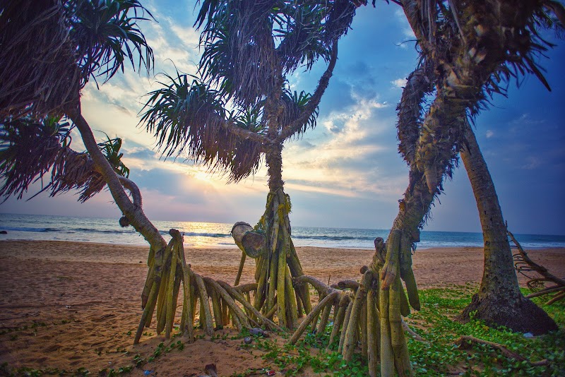 Kosgoda Beach - Kosgoda Beach, 82MG+JV4, Unnamed Road, Kosgoda, Sri Lanka