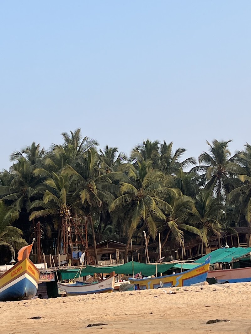 Tsea Turtle Tourism - Tsea Turtle Tourism, Block No C402, Sai Sathe Park, Deo Wada, Keshav Nagar, Chinchwad, Pimpri-Chinchwad, Pune, Maharashtra 411033, India