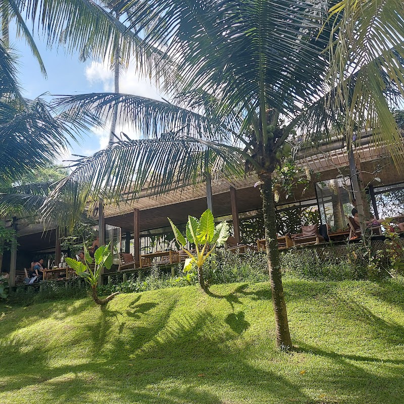 Kelapa Muda Ubud Pool Bar & Kitchen - Kelapa Muda Ubud Pool Bar & Kitchen, Jl. Gn. Sari, Peliatan, Kecamatan Ubud, Kabupaten Gianyar, Bali 80571, Indonesia