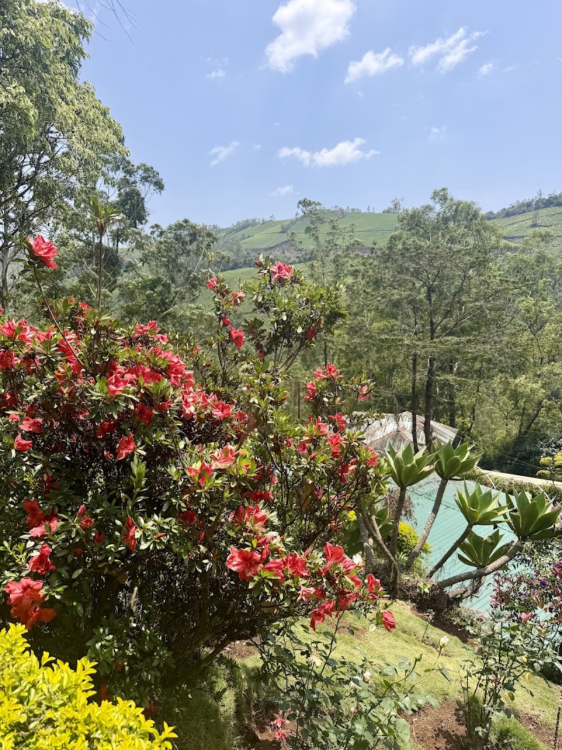 Munnar Routes Holidays - Munnar Routes Holidays near Hatc Stadium, Old, Moolakadai, Munnar, Kerala 685612, India