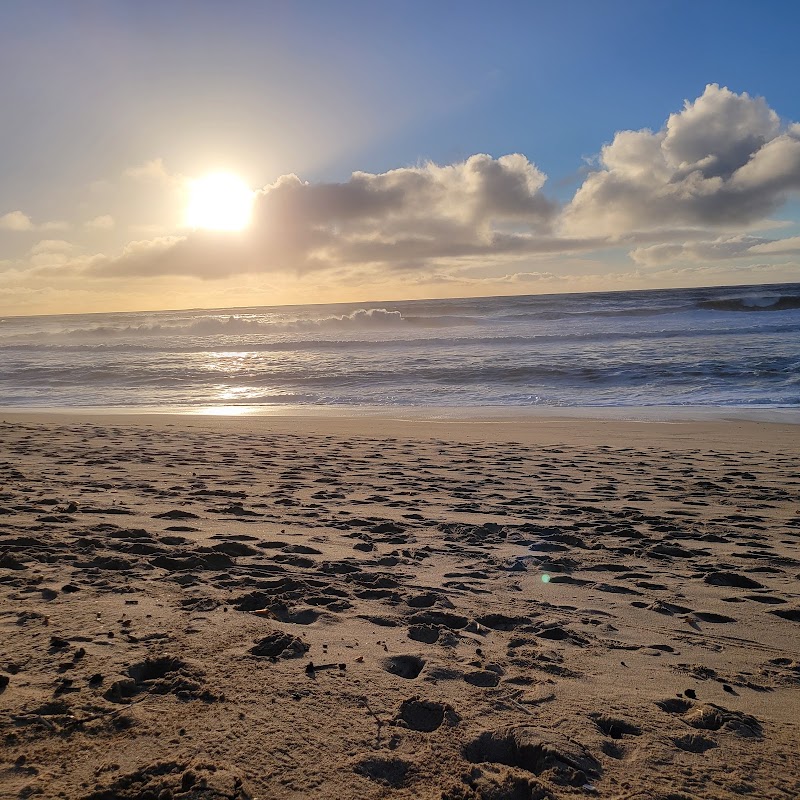 Half Moon Bay State Beach - Half Moon Bay State Beach 2 Venice Blvd, Half Moon Bay, CA 94019, USA