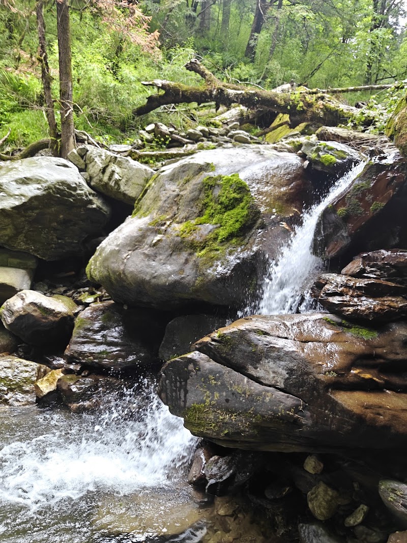 Shoja Waterfall Track Starting Point - Shoja Waterfall Track Starting Point, NH305, Sajwar, Himachal Pradesh 175123, India