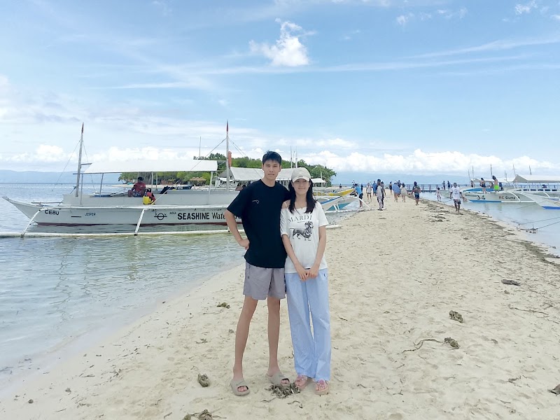 🪸 Island Hopping Tours Bohol Panglao - 🪸 Island Hopping Tours Bohol Panglao, Daorong Blvd, Danao, Panglao, 6320 Bohol, Philippines