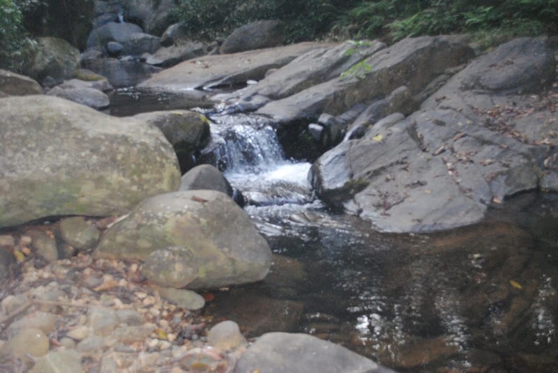 Padinjarathara Wayanad - Padinjarathara Wayanad, MX27+GX, Padinjarathara, Keralam 673575, India