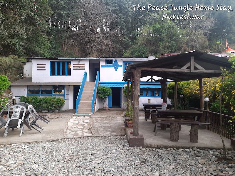 The Peace Jungle Home Stay - The Peace Jungle Home Stay, Chali Ki Jali, Mukteshwar, Uttarakhand 263138, India