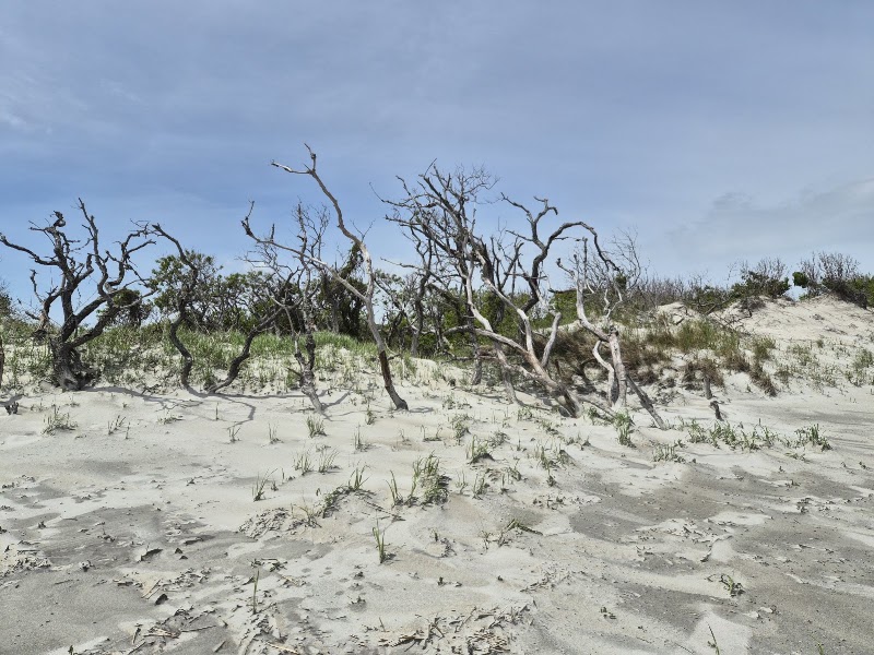Crane Beach at Trustees of Reservations - Crane Beach at Trustees of Reservations Crane Beach, Ipswich, MA 01938, USA
