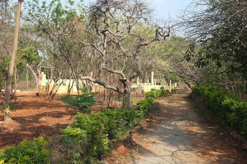The Roerich and Devikarani Estate, Aagara Grama Panchayath - The Roerich and Devikarani Estate, Aagara Grama Panchayath, RGWC+94P, Tatguni, Badamanavarathekaval, Karnataka 560109, India