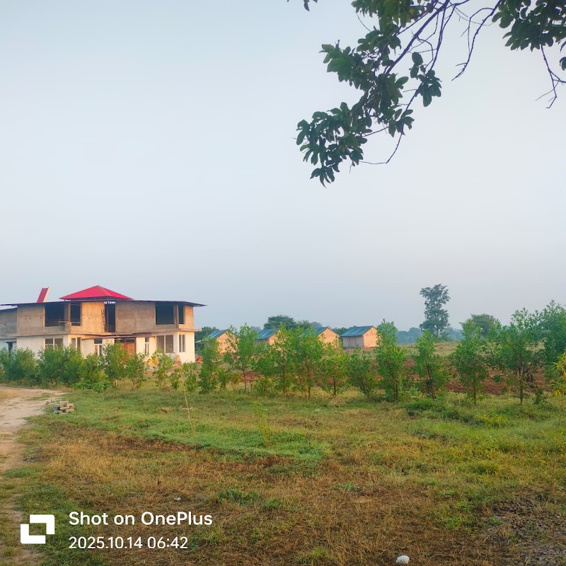 Maharaja Ken Resort, Panna