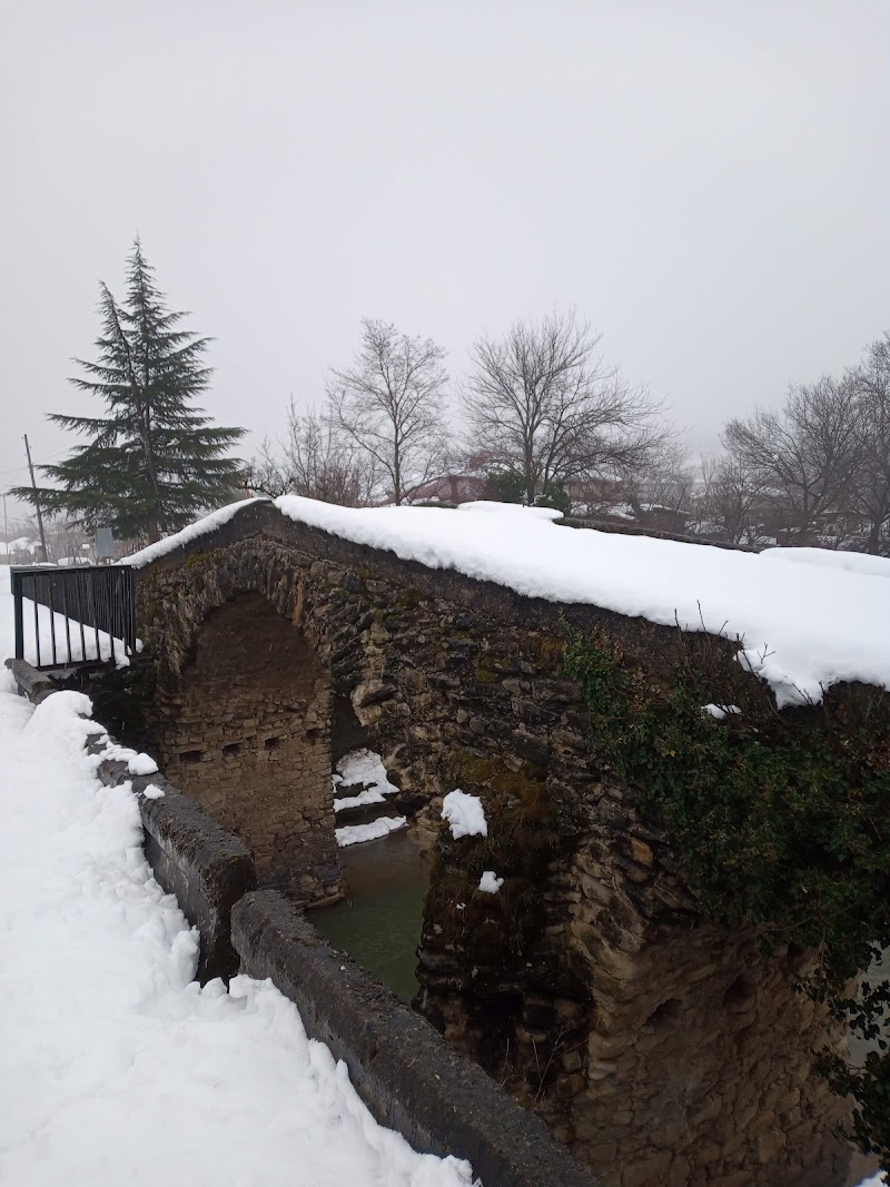 The historic Queen Tamar Bridge - The historic Queen Tamar Bridge, 42XM+X73, Kveda Sakara, Georgia