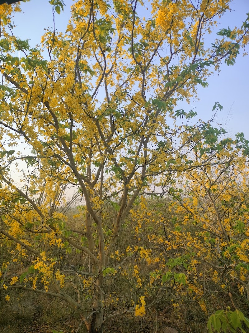 Sunrise point - Sunrise point S-11/7, DLF Phase 3, Sector 24, Gurugram, Haryana 122010, India
