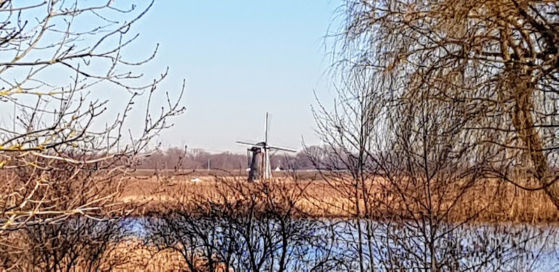 Touristinfo-Kinderdijk - Touristinfo-Kinderdijk Zuiderstek 22, 2952 AZ Alblasserdam, Netherlands