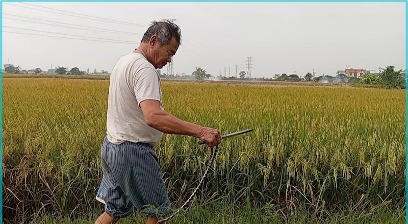A Lúng Countryside - A Lúng Countryside, 72JG+VC4, Thượng Đồng, Vạn Thắng, Ninh Bình, Vietnam