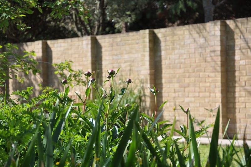 The English Garden Design - The English Garden Design, 5 Hampton Rd, Twickenham TW2 5QE, UK
