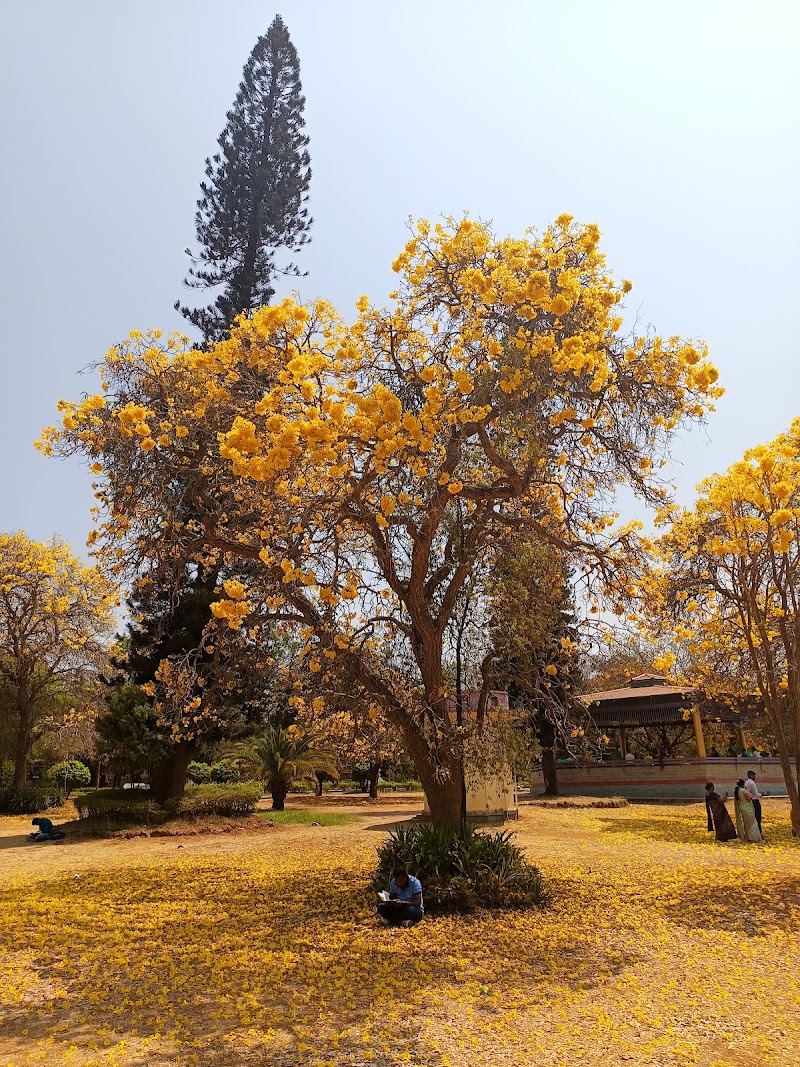 Cheluvamba Park - Cheluvamba Park, 8JCP+JJG, KRS Rd, Medar Block, Yadavagiri, Mysuru, Karnataka 570020, India