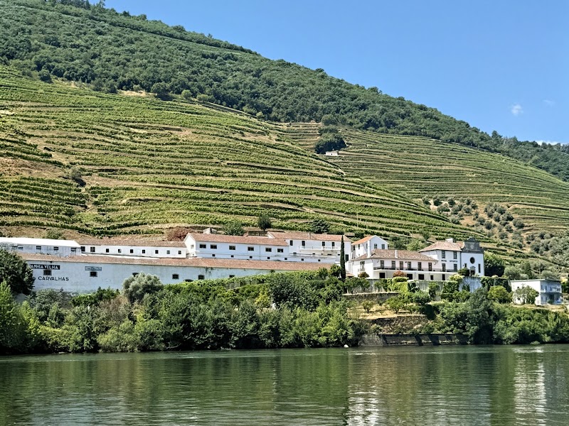 Douro Valley Wine Tours | Transfers - Douro Valley Wine Tours | Transfers, Rua de Vilar, 4050-626 Porto, Portugal