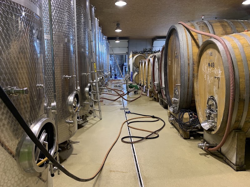 Grape Escapes Germany - Grape Escapes Germany, Bahnhof, 55218 Ingelheim am Rhein, Germany