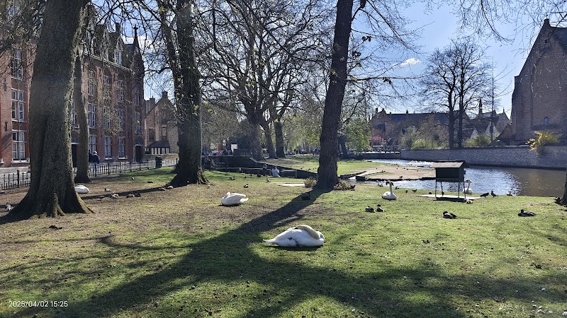 Minnewater - Minnewater, 8000 Brugge, Belgium