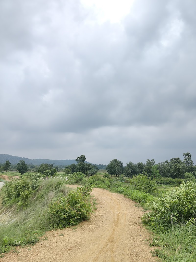 Tikamuda Kata - Tikamuda Kata, 9576+F4J, Nuabarangamal, Odisha 768112, India