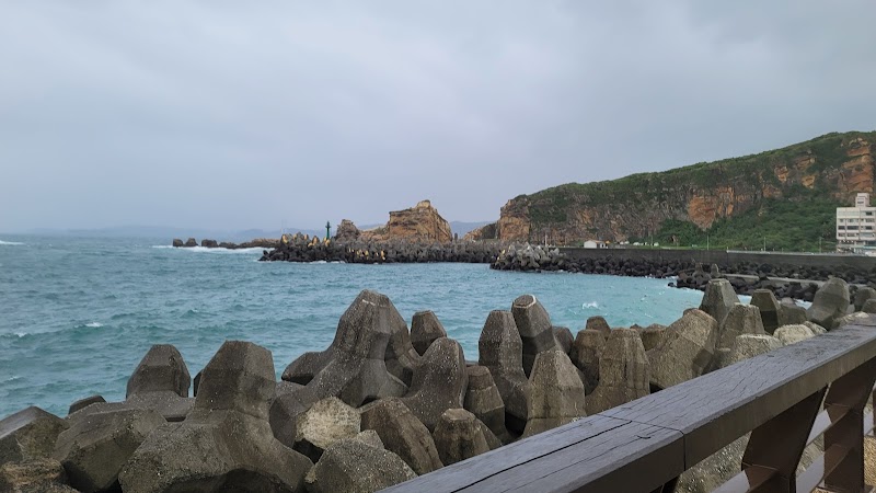 Yeliu Geology Park [Taiwan Tourist Shuttle] - Yeliu Geology Park [Taiwan Tourist Shuttle], Wanli District, New Taipei City, Taiwan 207