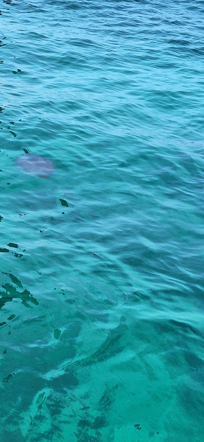 Koh​ Haa (Five Island)​ - Koh​ Haa (Five Island)​, CVHV+XXC Ko Haa (Five Island, Khao Thong, Mueang Krabi District, Krabi 81000, Thailand